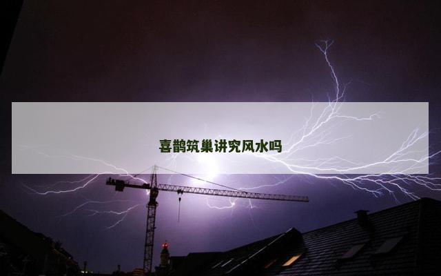 喜鹊筑巢讲究风水吗