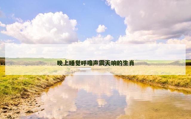晚上睡觉呼噜声震天响的生肖