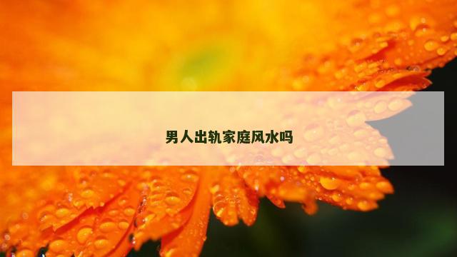 男人出轨家庭风水吗