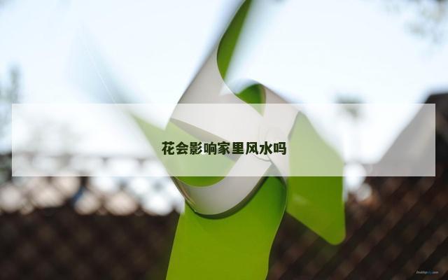 花会影响家里风水吗