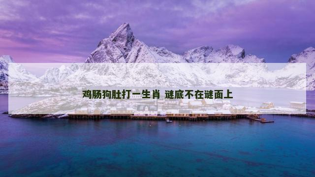 鸡肠狗肚打一生肖 谜底不在谜面上