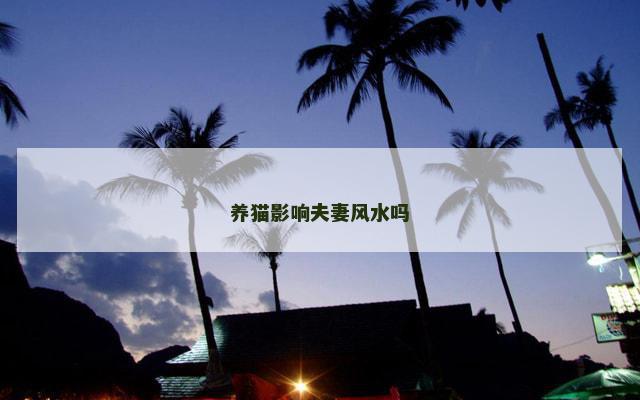养猫影响夫妻风水吗