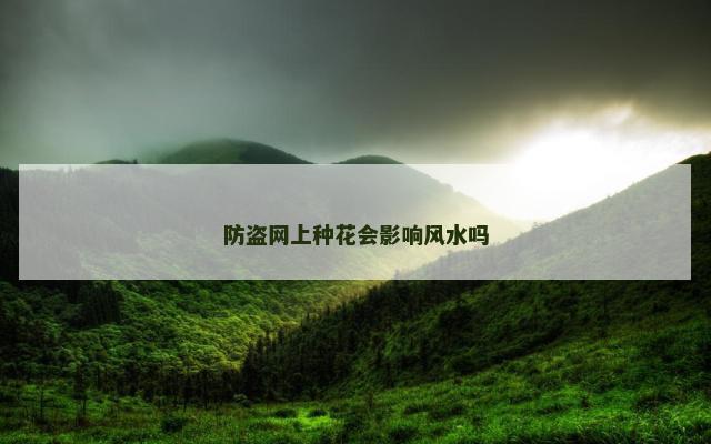 防盗网上种花会影响风水吗