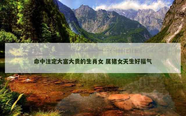 命中注定大富大贵的生肖女 属猪女天生好福气
