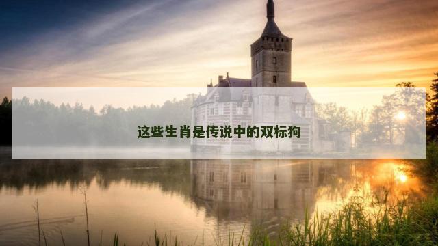 这些生肖是传说中的双标狗