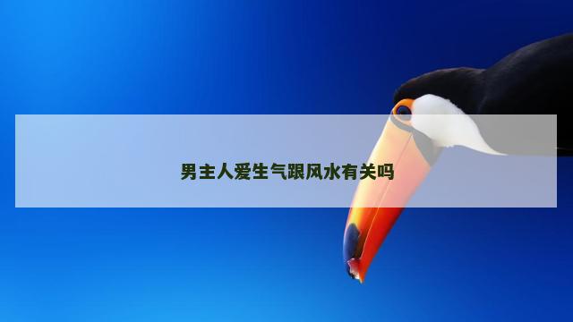 男主人爱生气跟风水有关吗