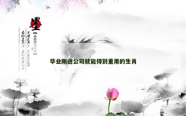 毕业刚进公司就能得到重用的生肖