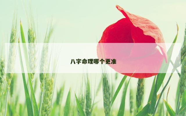 八字命理哪个更准