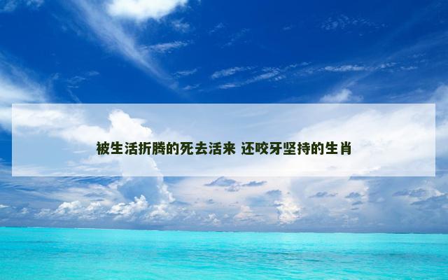 被生活折腾的死去活来 还咬牙坚持的生肖