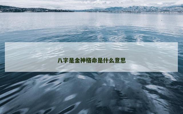 八字是金神格命是什么意思