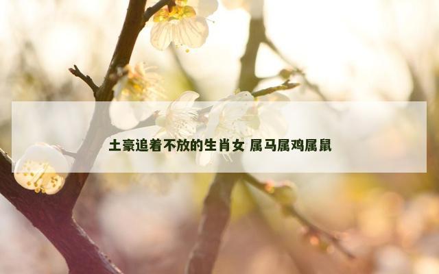 土豪追着不放的生肖女 属马属鸡属鼠
