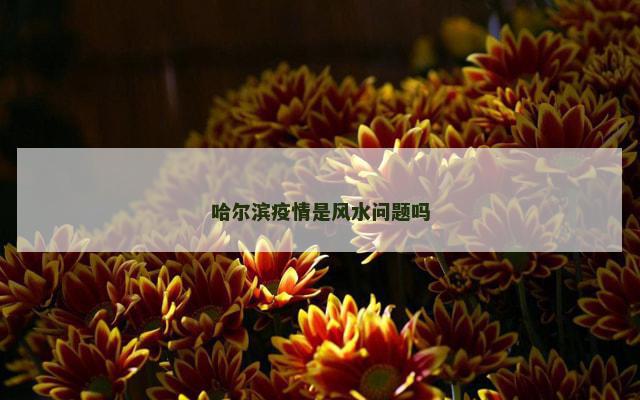 哈尔滨疫情是风水问题吗