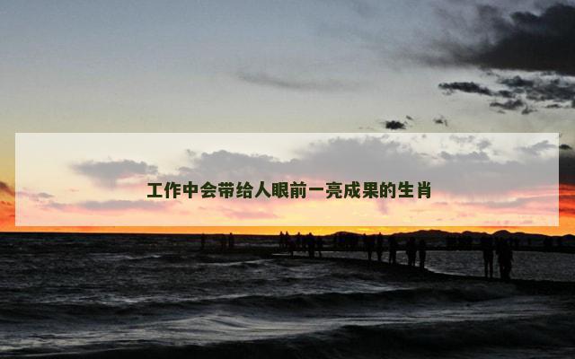 工作中会带给人眼前一亮成果的生肖
