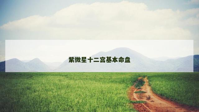 紫微星十二宫基本命盘