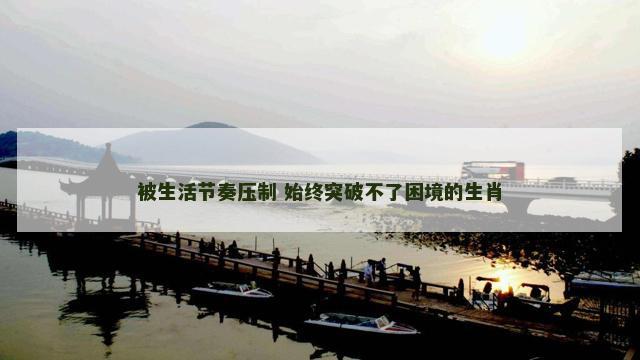 被生活节奏压制 始终突破不了困境的生肖