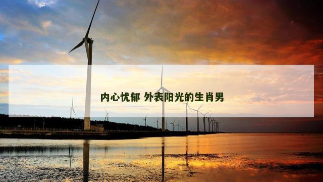 内心忧郁 外表阳光的生肖男