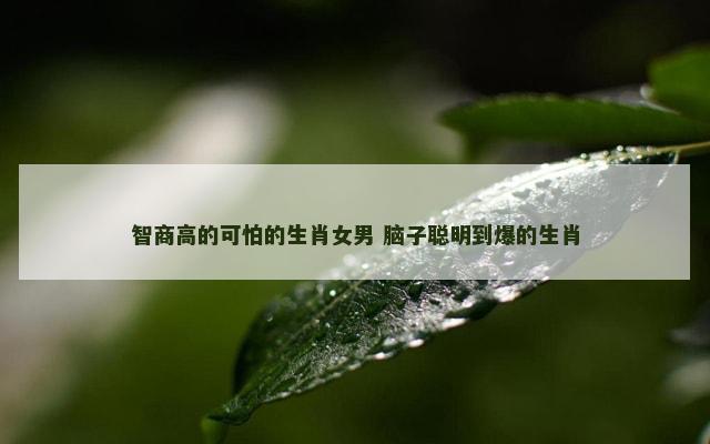 智商高的可怕的生肖女男 脑子聪明到爆的生肖