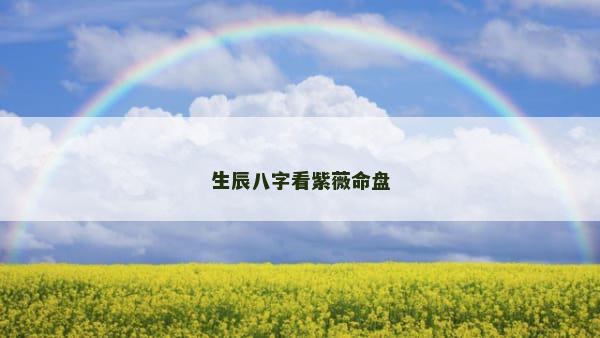 生辰八字看紫薇命盘