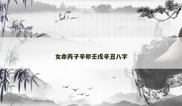 女命丙子辛卯壬戌辛丑八字