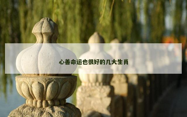 心善命运也很好的几大生肖