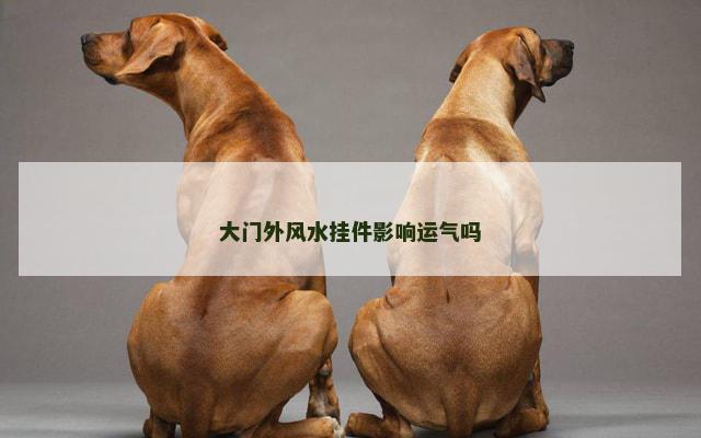 大门外风水挂件影响运气吗