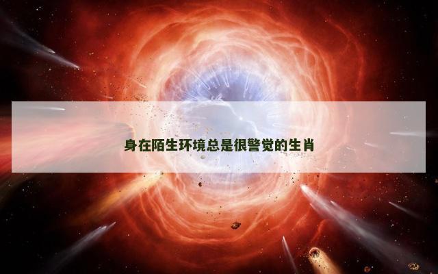 身在陌生环境总是很警觉的生肖