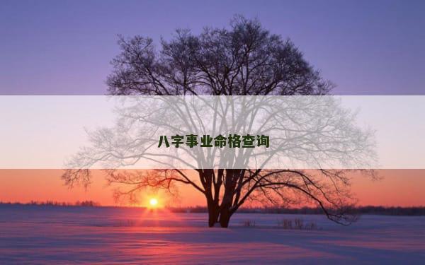八字事业命格查询