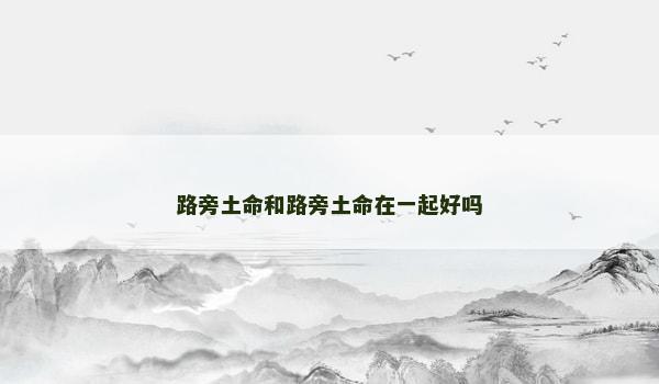 路旁土命和路旁土命在一起好吗