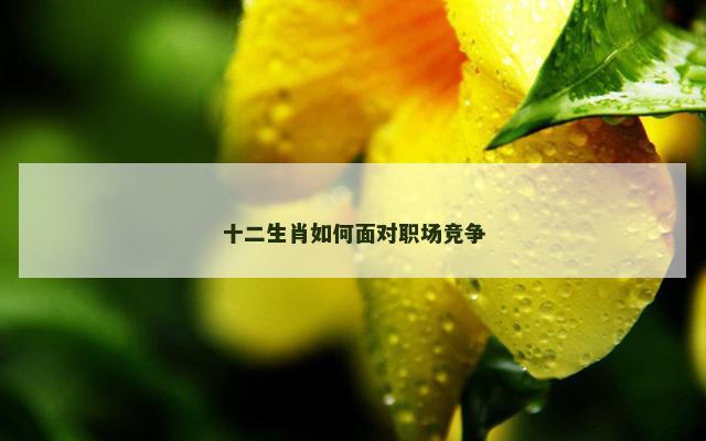 十二生肖如何面对职场竞争