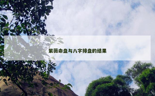 紫薇命盘与八字排盘的结果