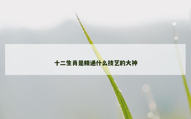 十二生肖是精通什么技艺的大神