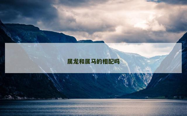 属龙和属马的相配吗