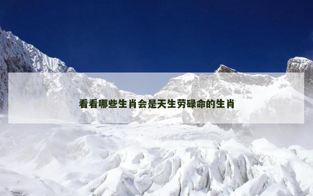 看看哪些生肖会是天生劳碌命的生肖