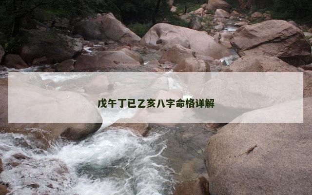 戊午丁已乙亥八字命格详解