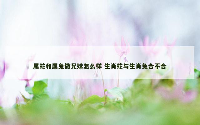 属蛇和属兔做兄妹怎么样 生肖蛇与生肖兔合不合
