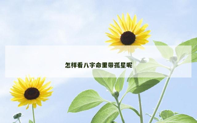 怎样看八字命里带孤星呢