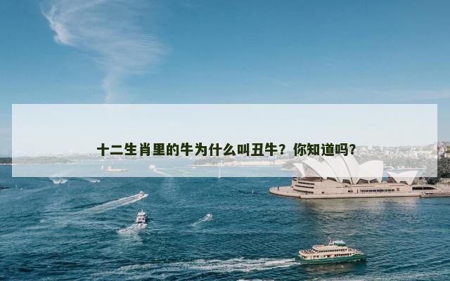 十二生肖里的牛为什么叫丑牛？你知道吗？