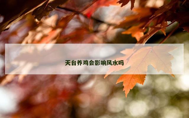 天台养鸡会影响风水吗