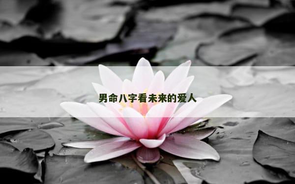 男命八字看未来的爱人