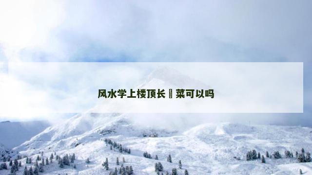 风水学上楼顶长韮菜可以吗