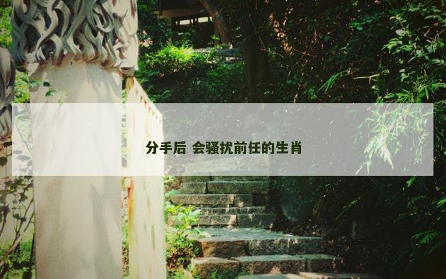 分手后 会骚扰前任的生肖