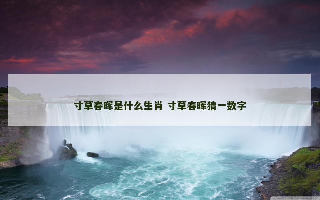 寸草春晖是什么生肖 寸草春晖猜一数字