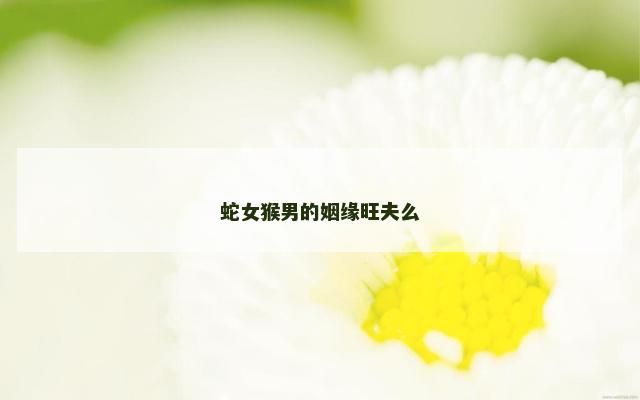 蛇女猴男的姻缘旺夫么