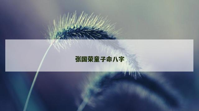 张国荣童子命八字