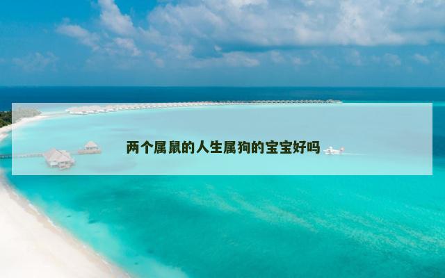 两个属鼠的人生属狗的宝宝好吗