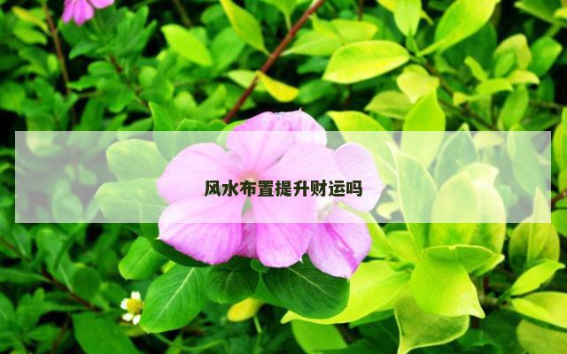 风水布置提升财运吗