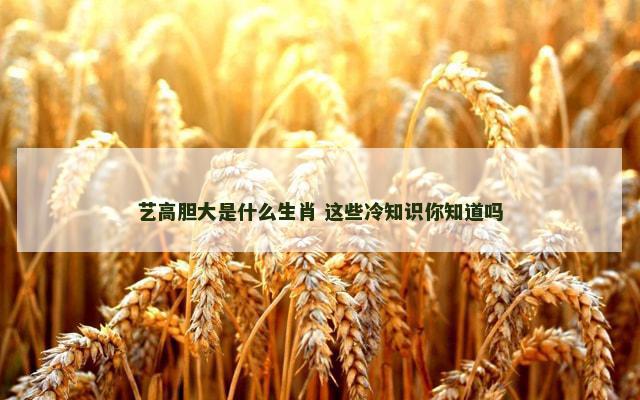 艺高胆大是什么生肖 这些冷知识你知道吗