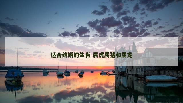 适合结婚的生肖 属虎属猪和属龙