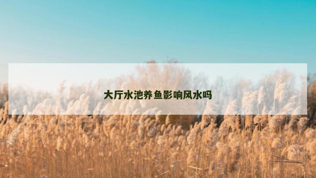 大厅水池养鱼影响风水吗