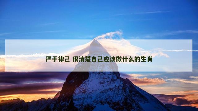 严于律己 很清楚自己应该做什么的生肖